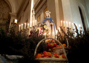 Feast of Assumption